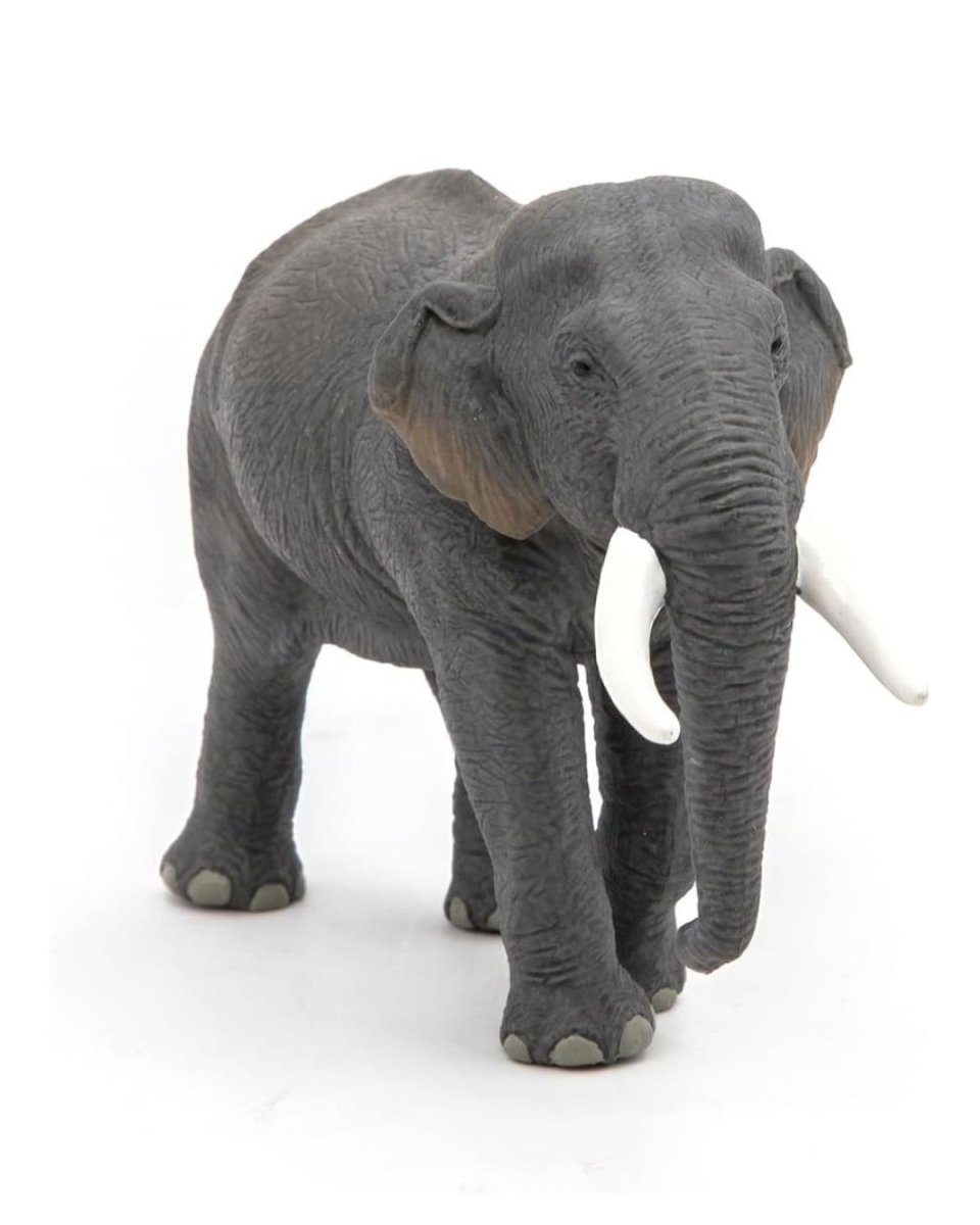 Figura Elefante Asiático – PAPO - Imagen 3